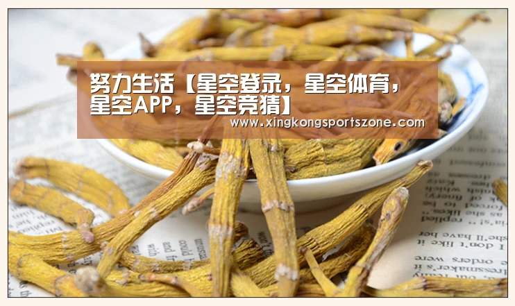 星空登录，星空体育，星空APP，星空竞猜